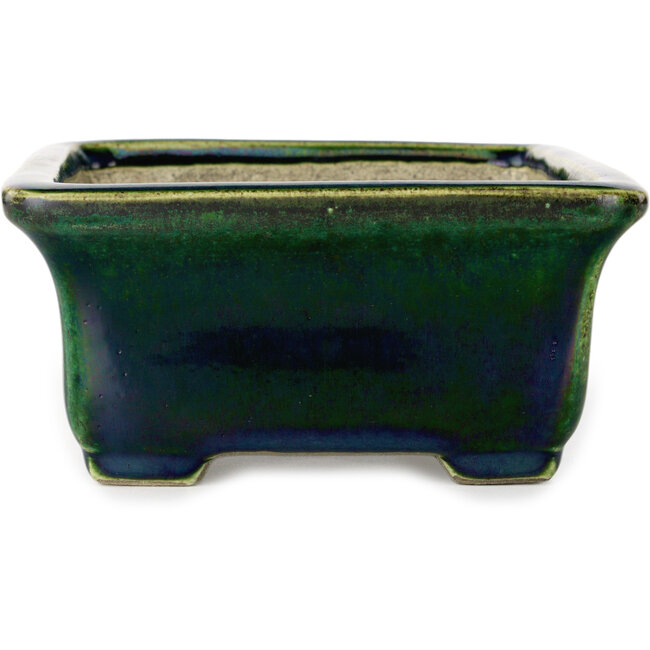 Pot à bonsaï rectangulaire vert avec accent bleu par Terahata Satomi Mazan - 165 x 135 x 65 mm