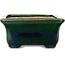 Maceta rectangular para bonsái verde con detalles en azul de Terahata Satomi Mazan - 165 x 135 x 65 mm