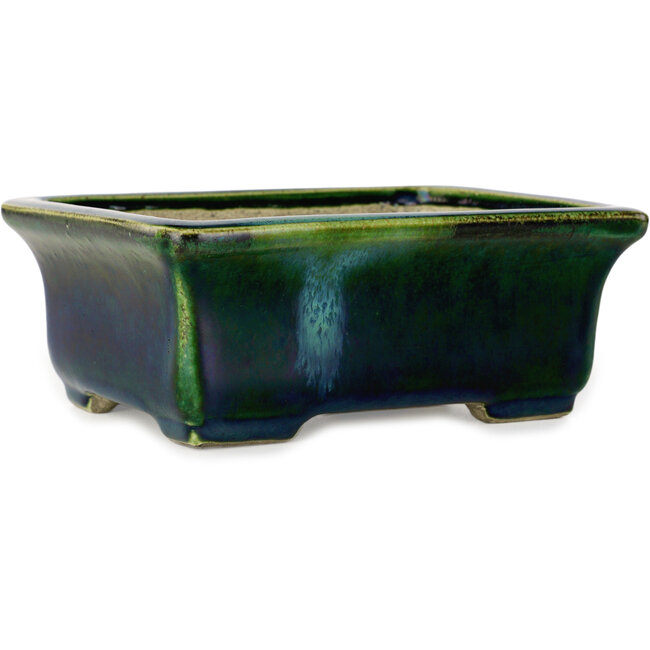 Maceta rectangular para bonsái verde con detalles en azul de Terahata Satomi Mazan - 165 x 135 x 65 mm