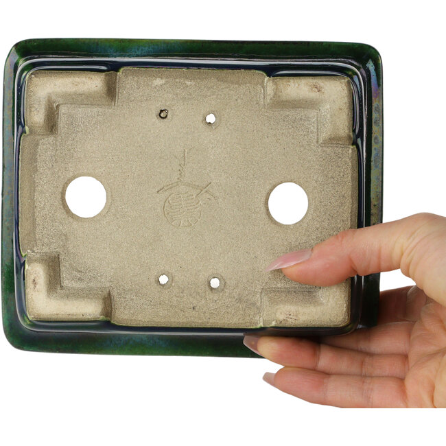 Maceta rectangular para bonsái verde con detalles en azul de Terahata Satomi Mazan - 165 x 135 x 65 mm