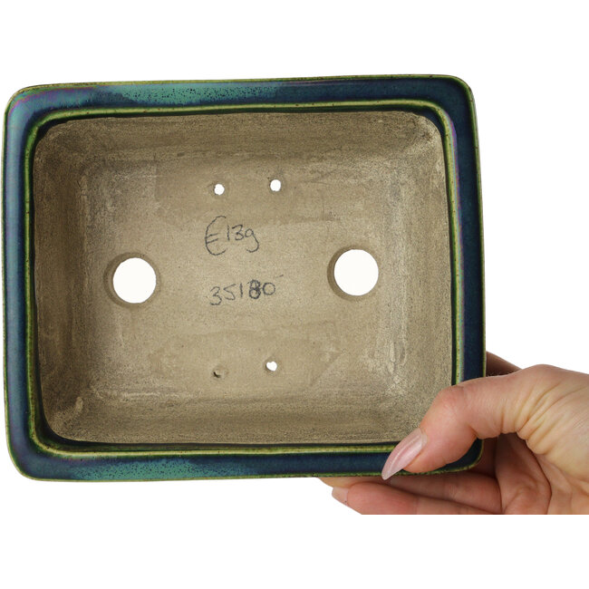 Pot à bonsaï rectangulaire vert avec accent bleu par Terahata Satomi Mazan - 165 x 135 x 65 mm