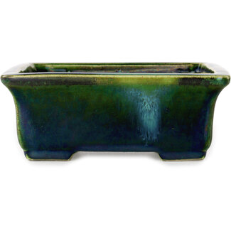  Satomi Mazan, Mazan Terahata 165 mm rechteckige grüne Bonsaischale mit blauem Akzent von Terahata Satomi Mazan, Tokoname, Japan