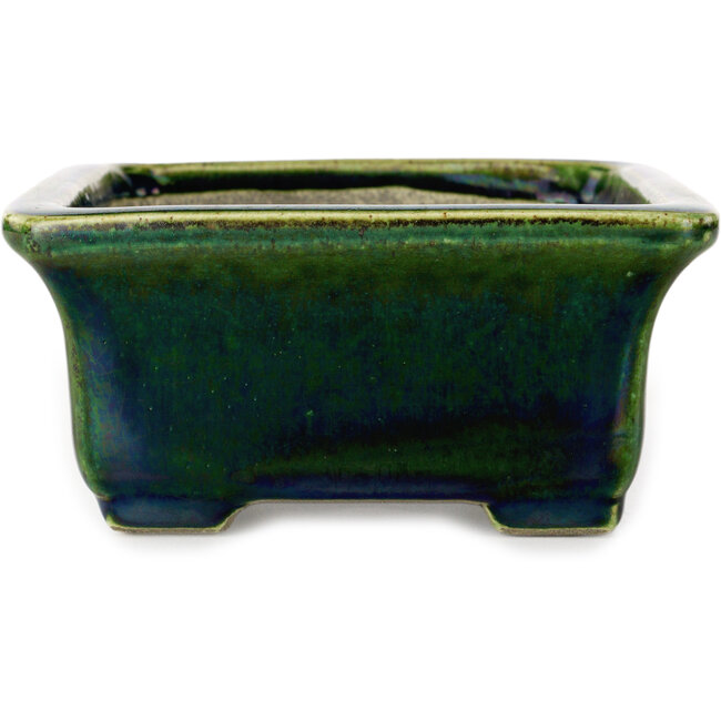 Maceta rectangular para bonsái verde con detalles en azul de Terahata Satomi Mazan - 165 x 135 x 65 mm