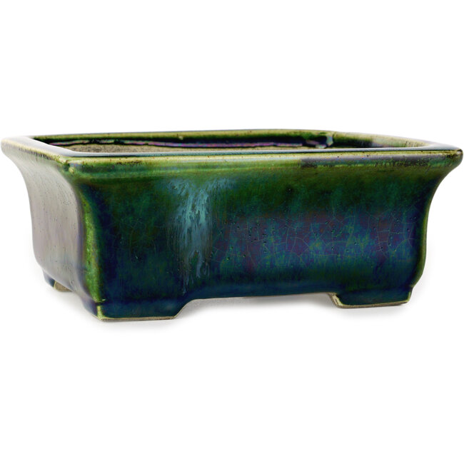 Vaso bonsai rettangolare verde con accenti blu di Terahata Satomi Mazan - 165 x 135 x 65 mm