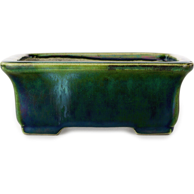 Maceta rectangular para bonsái verde con detalles en azul de Terahata Satomi Mazan - 165 x 135 x 65 mm