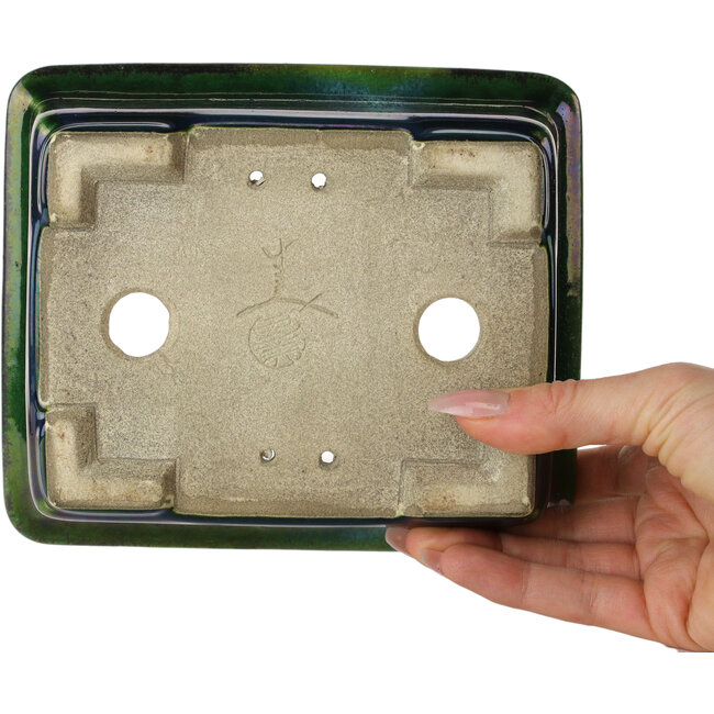 Rectangular green with a blue accent bonsai pot by Terahata Satomi Mazan - 165 x 135 x 65 mm
