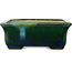 Maceta rectangular para bonsái verde con detalles en azul de Terahata Satomi Mazan - 165 x 135 x 65 mm
