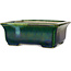 Rectangular green with a blue accent bonsai pot by Terahata Satomi Mazan - 165 x 135 x 65 mm
