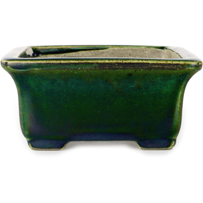 Pot à bonsaï rectangulaire vert avec accent bleu par Terahata Satomi Mazan - 165 x 135 x 65 mm