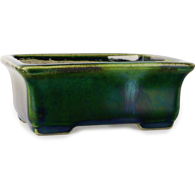 Maceta rectangular para bonsái verde con detalles en azul de Terahata Satomi Mazan - 165 x 135 x 65 mm