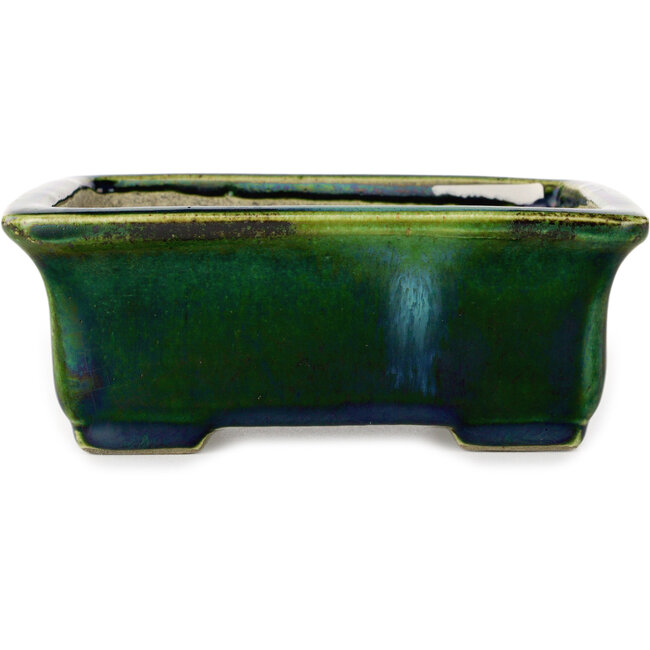 Pot à bonsaï rectangulaire vert avec accent bleu par Terahata Satomi Mazan - 165 x 135 x 65 mm