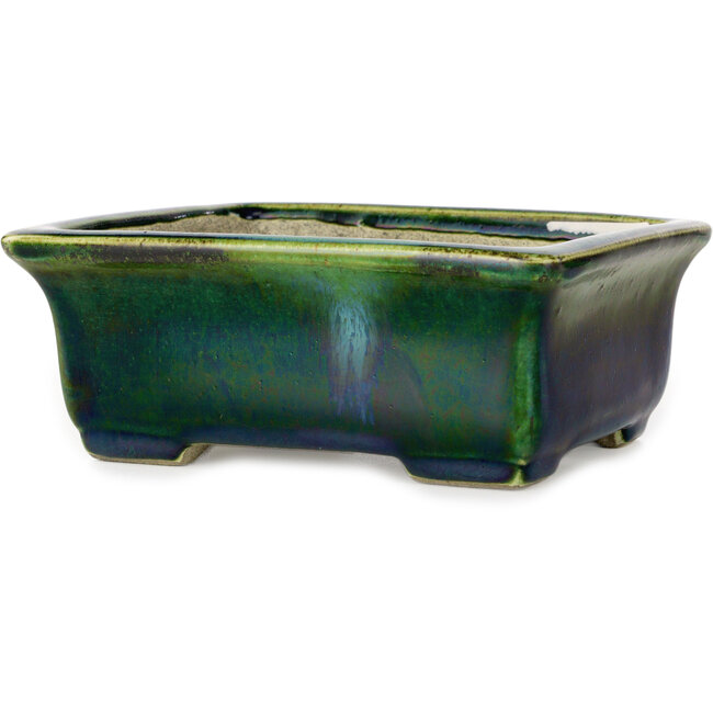 Maceta rectangular para bonsái verde con detalles en azul de Terahata Satomi Mazan - 165 x 135 x 65 mm