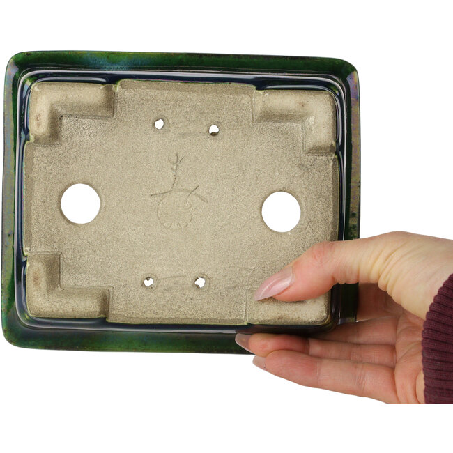 Rectangular green with a blue accent bonsai pot by Terahata Satomi Mazan - 165 x 135 x 65 mm