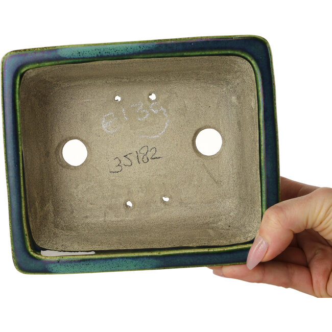 Pot à bonsaï rectangulaire vert avec accent bleu par Terahata Satomi Mazan - 165 x 135 x 65 mm