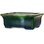 Pot à bonsaï rectangulaire vert avec accent bleu par Terahata Satomi Mazan - 165 x 135 x 65 mm