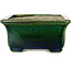 Rectangular green with a blue accent bonsai pot by Terahata Satomi Mazan - 165 x 135 x 65 mm