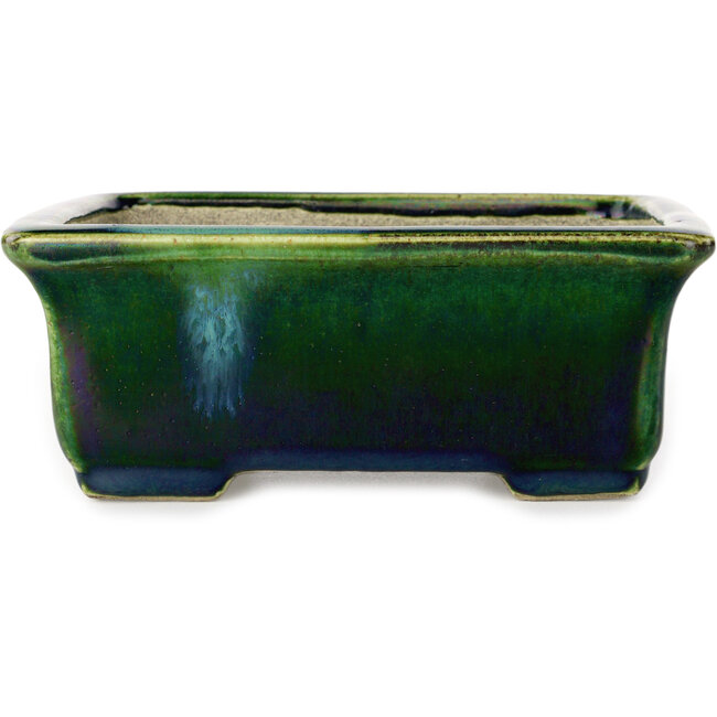 Pot à bonsaï rectangulaire vert avec accent bleu par Terahata Satomi Mazan - 165 x 135 x 65 mm