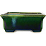 Vaso bonsai rettangolare verde con accenti blu di Terahata Satomi Mazan - 165 x 135 x 65 mm