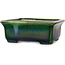 Pot à bonsaï rectangulaire vert avec accent bleu par Terahata Satomi Mazan - 165 x 135 x 65 mm