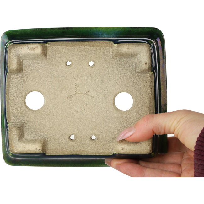 Rectangular green with a blue accent bonsai pot by Terahata Satomi Mazan - 165 x 135 x 65 mm