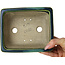 Pot à bonsaï rectangulaire vert avec accent bleu par Terahata Satomi Mazan - 165 x 135 x 65 mm