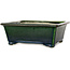 Rectangular green bonsai pot by Terahata Satomi Mazan - 197 x 168 x 70 mm