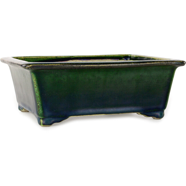 Rectangular green bonsai pot by Terahata Satomi Mazan - 197 x 168 x 70 mm