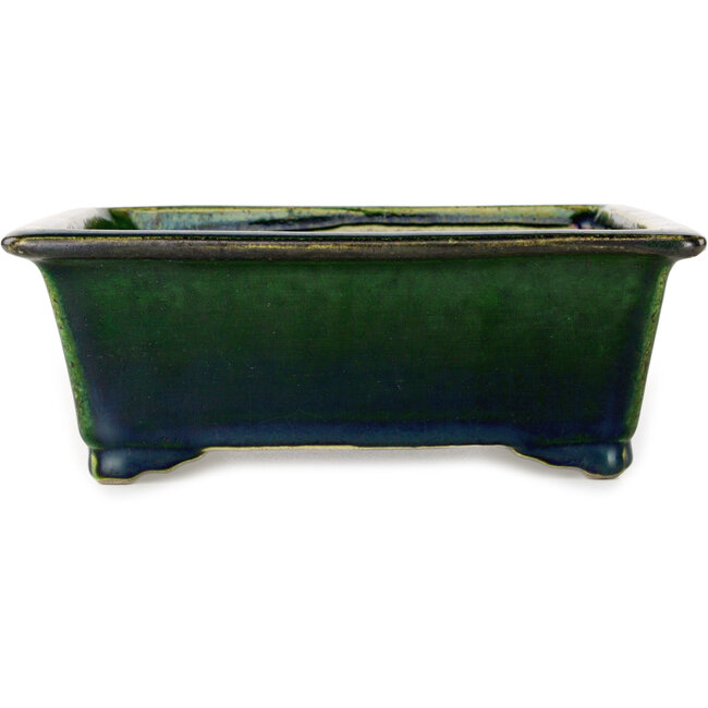 Maceta rectangular para bonsái verde de Terahata Satomi Mazan - 197 x 168 x 70 mm