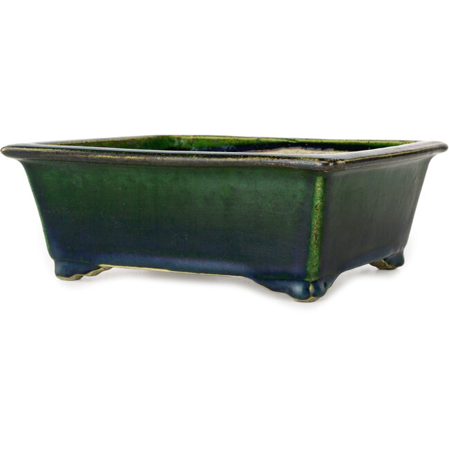 Maceta rectangular para bonsái verde de Terahata Satomi Mazan - 197 x 168 x 70 mm