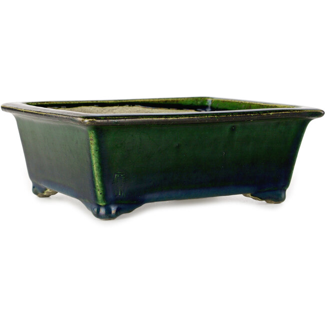 Rectangular green bonsai pot by Terahata Satomi Mazan - 197 x 168 x 70 mm