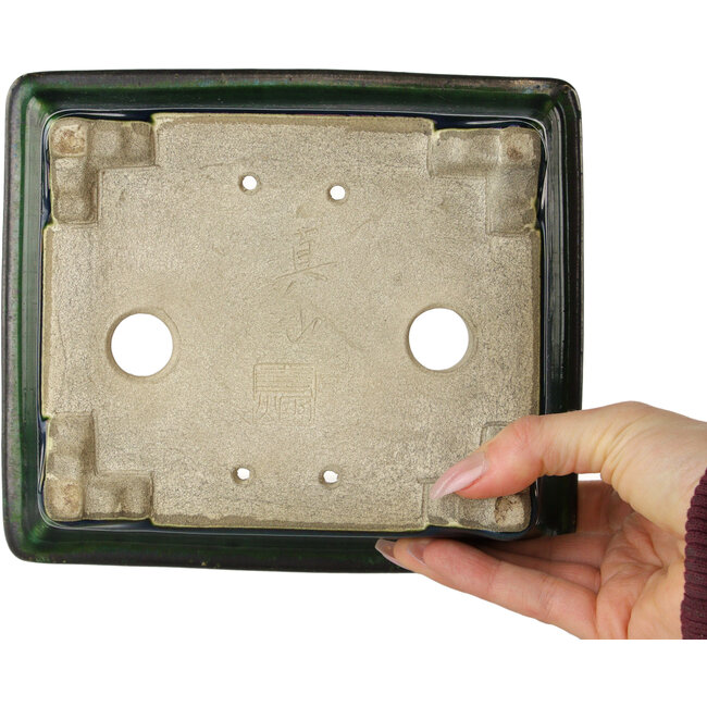 Maceta rectangular para bonsái verde de Terahata Satomi Mazan - 197 x 168 x 70 mm