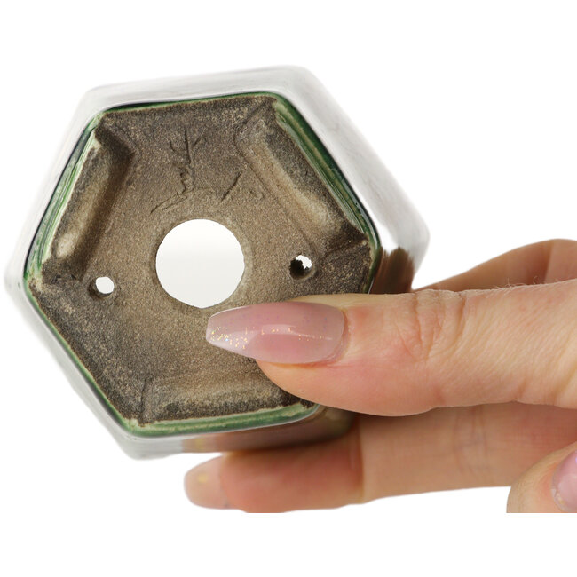 Maceta hexagonal para bonsái verde de Terahata Satomi Mazan - 71 x 71 x 62 mm