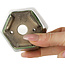 Maceta hexagonal para bonsái verde de Terahata Satomi Mazan - 71 x 71 x 62 mm