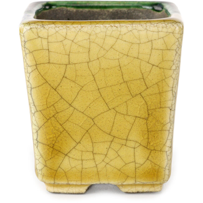 Quadratischer grüner und gelber Bonsaitopf von Terahata Satomi Mazan – 63 x 63 x 68 mm