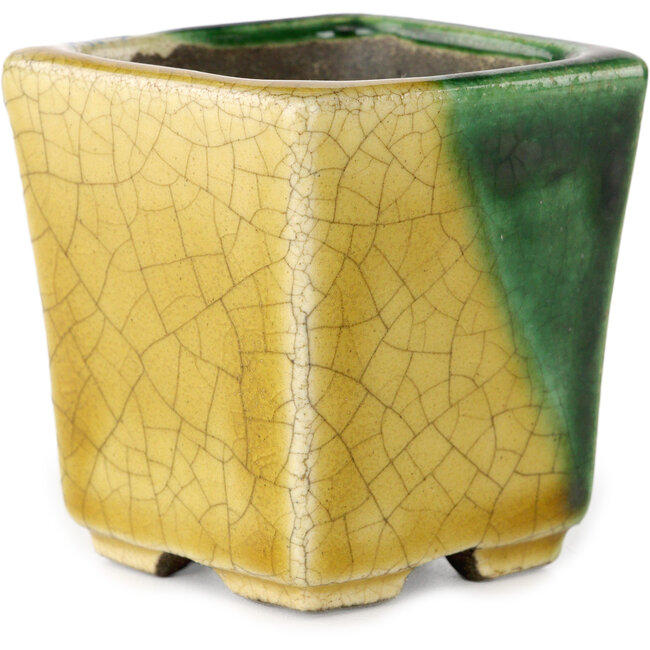 Quadratischer grüner und gelber Bonsaitopf von Terahata Satomi Mazan – 63 x 63 x 68 mm