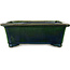 Rectangular green bonsai pot by Terahata Satomi Mazan - 197 x 168 x 70 mm
