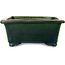 Pot à bonsaï rectangulaire vert par Terahata Satomi Mazan - 197 x 168 x 70 mm
