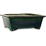 Rectangular green bonsai pot by Terahata Satomi Mazan - 197 x 168 x 70 mm