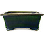 Rectangular green bonsai pot by Terahata Satomi Mazan - 197 x 168 x 70 mm