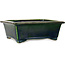Pot à bonsaï rectangulaire vert par Terahata Satomi Mazan - 197 x 168 x 70 mm