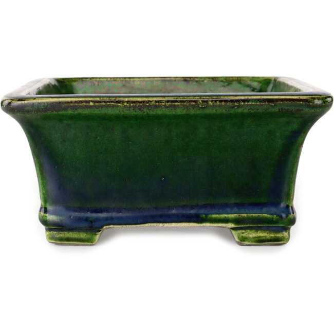 Maceta rectangular para bonsái verde de Terahata Satomi Mazan - 215 x 180 x 83 mm