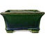 Pot à bonsaï rectangulaire vert par Terahata Satomi Mazan - 215 x 180 x 83 mm
