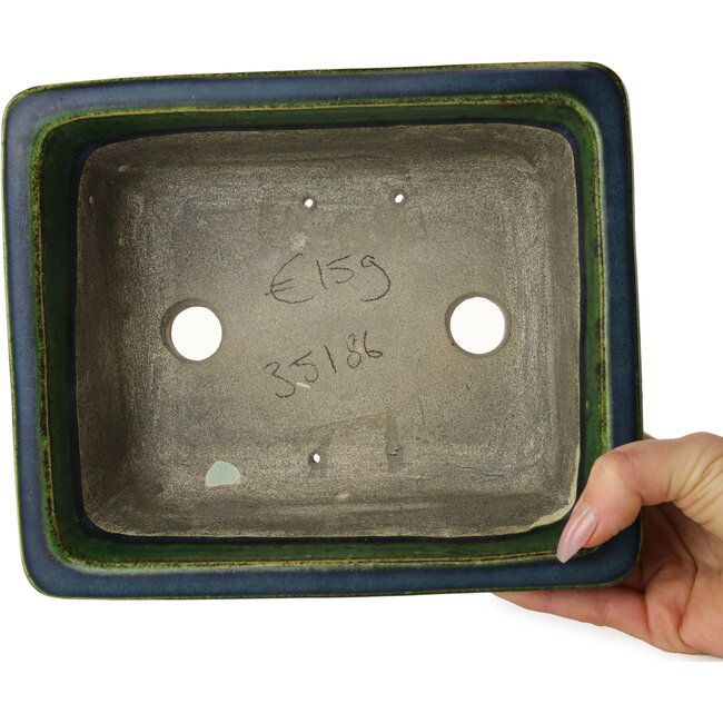 Maceta rectangular para bonsái verde de Terahata Satomi Mazan - 215 x 180 x 83 mm