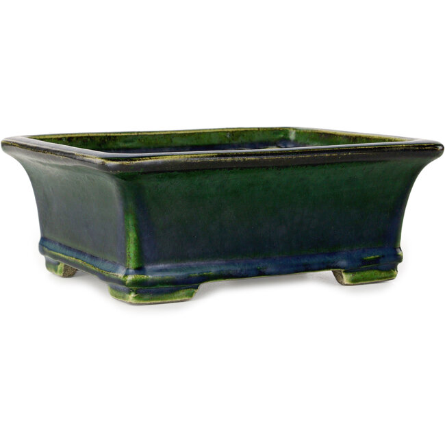 Maceta rectangular para bonsái verde de Terahata Satomi Mazan - 215 x 180 x 83 mm