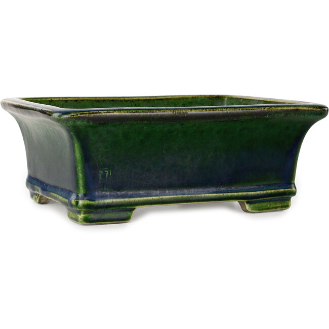 Maceta rectangular para bonsái verde de Terahata Satomi Mazan - 215 x 180 x 83 mm