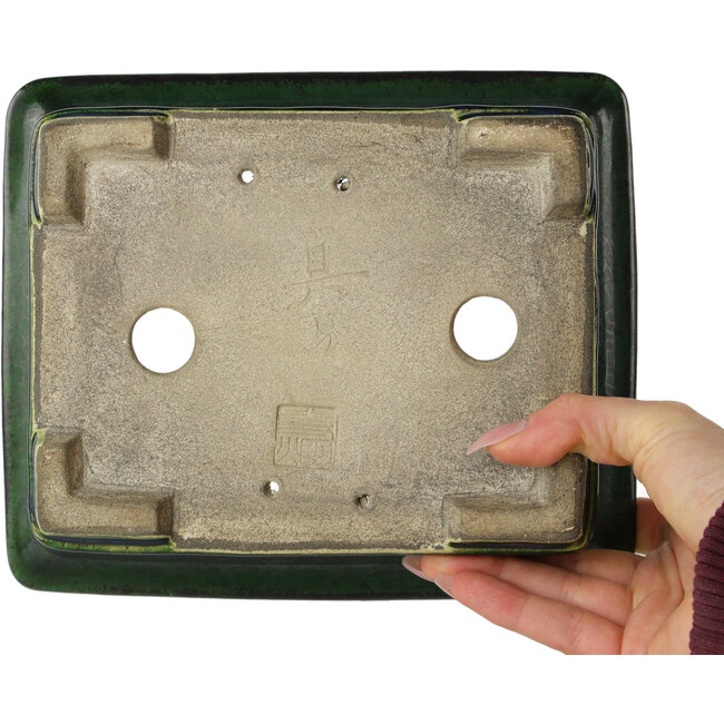 Maceta rectangular para bonsái verde de Terahata Satomi Mazan - 215 x 180 x 83 mm