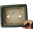Rectangular green bonsai pot by Terahata Satomi Mazan - 215 x 180 x 83 mm