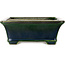 Maceta rectangular para bonsái verde de Terahata Satomi Mazan - 250 x 215 x 82 mm