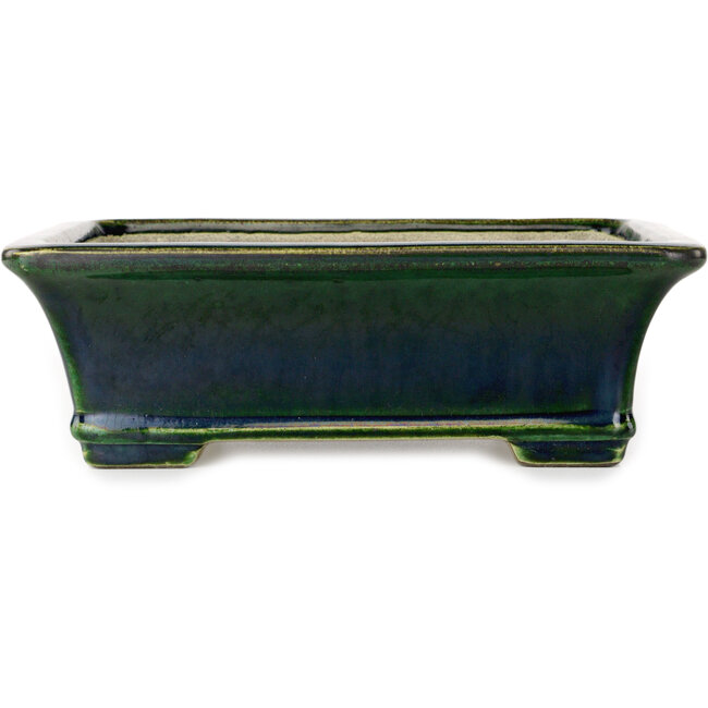 Rechteckiger grüner Bonsaitopf von Terahata Satomi Mazan – 250 x 215 x 82 mm
