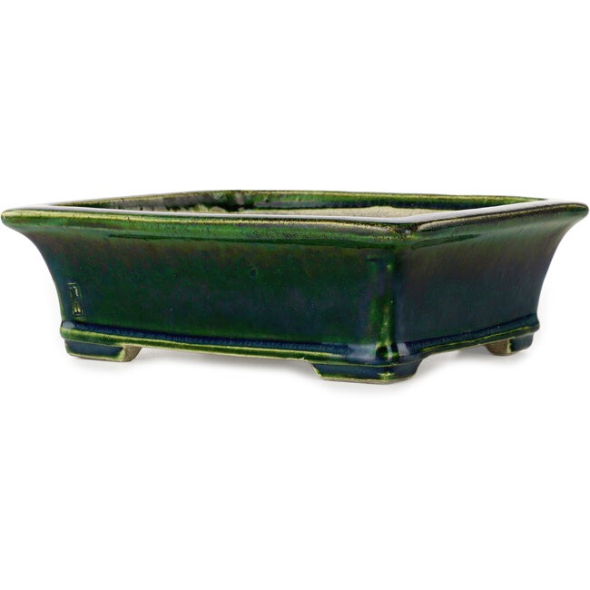 Maceta rectangular para bonsái verde de Terahata Satomi Mazan - 250 x 215 x 82 mm
